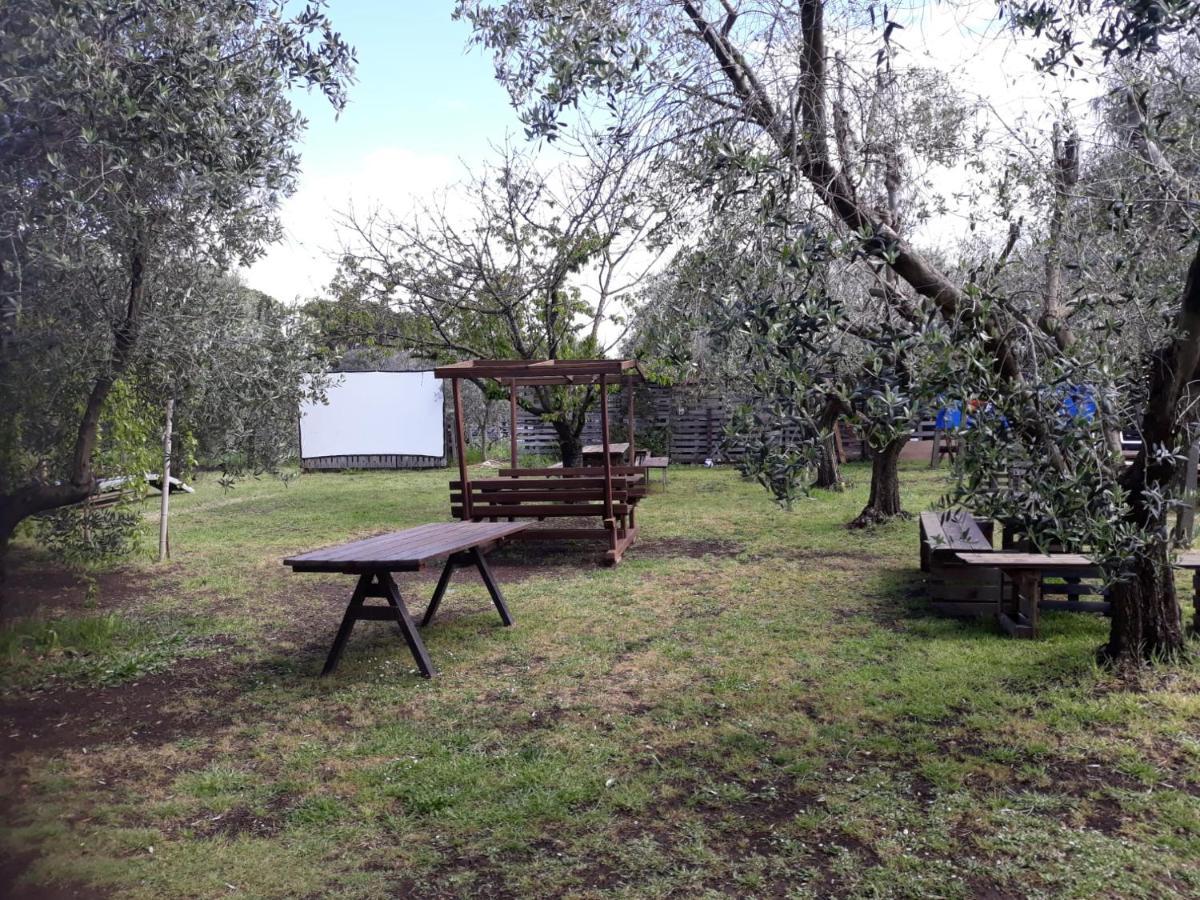 Bici Grill Decimo Miglio Aeroporto Ciampino Francigena Country House エクステリア 写真